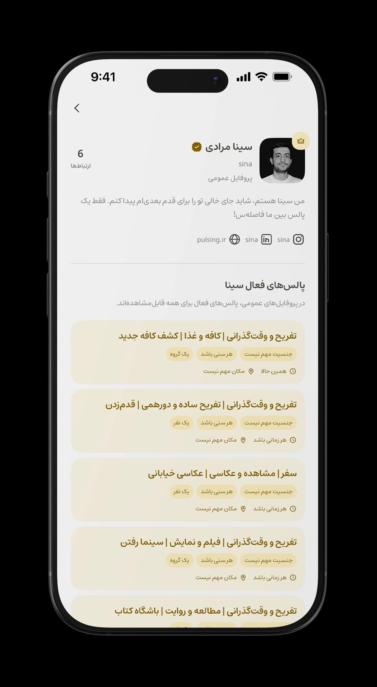 نمونه پروفایل عمومی پالسینگ با مشخصات کاربر و فهرست پالس‌های فعال